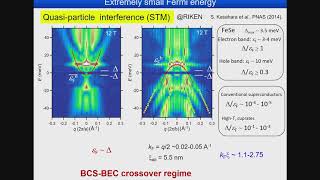 BCSBEC crossover in FeSe1xSx superconductors [upl. by Minna]