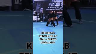 Pencak Silat Fight Junior Tarung Tangan Kosong dennywewey9649 [upl. by Fernandes]