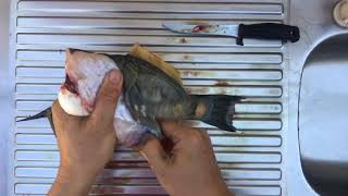 How to Clean a Leatherjacket Fish [upl. by Ydne545]