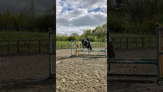 Bitless jumping 💗🐴 cute equestrian horse rider pony horsemanship bitless jumping sj [upl. by Siloam]