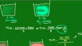 Taxas de crescimento populacional  Ecologia  Biologia [upl. by Obe671]