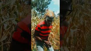 Othichojasuba Nyakowino music love shortsfeed funny dance moods [upl. by Tsyhtema]