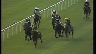 1990 Tattersalls Gold Cup Batshoof Includes Replay [upl. by Arun]