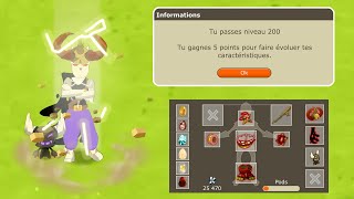 AVENTURE TEMPORIS DOFUS RETRO III 13  UP 200 amp RAMBOTON [upl. by Ahsert]