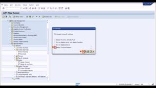 SAP How to display Tcodes in SAP menu [upl. by Ellehcear225]