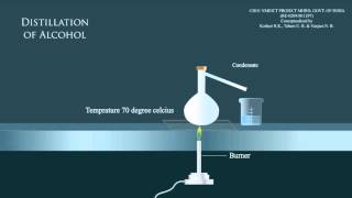 Distillation of alcohol [upl. by Dahl]