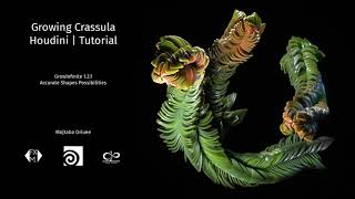 Growing Crassula Pyramidalis Tutorial  Sidefx Houdini  GrowInfinite [upl. by Koeninger]