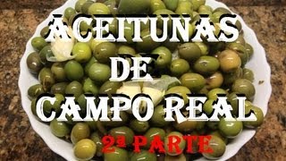 ACEITUNAS AL ESTILO CAMPO REAL 2ªPARTE [upl. by Mccourt]