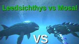 Leedsichthys VS Mosasaurus  ARK Survival Evolved [upl. by Anirtik]