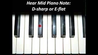 Hear Piano Note  Mid D Sharp or E Flat [upl. by Mateo263]