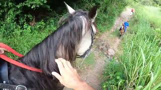 Cabalgando en Villalba PR con Hacienda La Tardanza elcaballoyelcaballista [upl. by Nalniuq783]