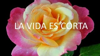 La vida es corta [upl. by Terri]