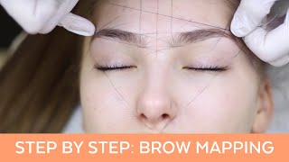 Brow Mapping Step By Step Training [upl. by Armalla893]