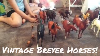 Vintage Breyer Horse Collection [upl. by Alex870]