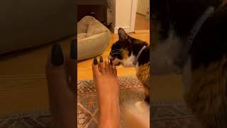 Pedi Prank on Husband [upl. by Anahir]