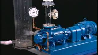 NASH Liquid Ring Vacuum Pump Reliability [upl. by Padegs971]