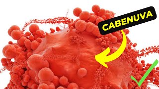 Cabenuva The Future of HIV Treatment is Here [upl. by Tlevesoor]