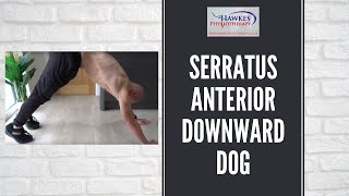 Serratus Anterior downward dog Technique video [upl. by Nowad]