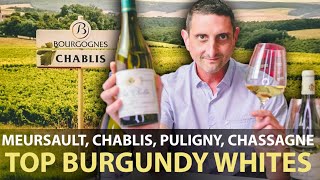 How are Meursault Chablis Puligny amp Chassagne Montrachet Different Top White Wines From Burgundy [upl. by Rowe754]