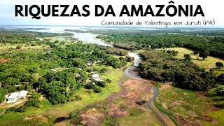 Viagem a uma comunidade de Juruti no Pará  Tabatinga Rio Amazonas Turismo Aqui [upl. by Enail]