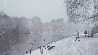 London Snow Walk ☃️ Snowing in St James’s Park [upl. by Oal688]