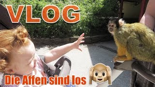 Familien Vlog I Affen hautnah erleben I Affenpark Apenheul Apeldoorn Holland [upl. by Yelime]