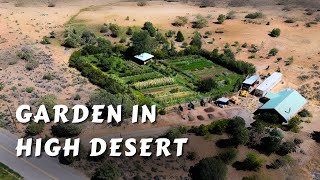 Permaculture Garden In The High Desert [upl. by Clementas]