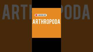 ARTHROPODA [upl. by Heddie]