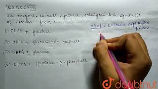 The enzyme sucrose synthase catalyses the synthesis of sucrose from  CLASS 11  PHOTOSYNTHE [upl. by Alletsyrc]