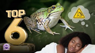 6 Significados de SONHAR com 🐸 SAPO que você precisa conhecer  🦉Guia Noturno [upl. by Ykcor]