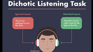 Dichotic Listening linguistics shortvideo learning [upl. by Aneehsor578]