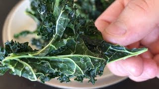 How to make Crispy Seasoned Kale Chips  Low Carb Snack Recipe [upl. by Jedd]