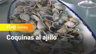 Coquinas al ajillo  Ahora o nunca  RTVE Cocina [upl. by Rengia]