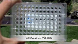 ExtraGene 96 Well ELISA Plate Test  Quasar Instruments [upl. by Sturrock]