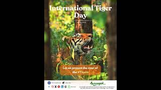 🐅🐅 Happy InternationalTigerDay [upl. by Llenet341]