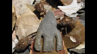 Amazing Flint Projectile Points 1 [upl. by Evreh574]