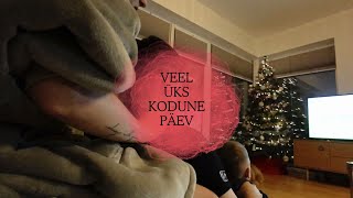 VLOGMAS 16  veel üks kodune päev [upl. by Mcneely31]