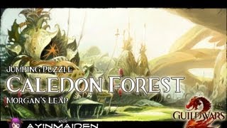 Guild Wars 2  Jumping Puzzle  Caledon Forest Morgans Leap [upl. by Coshow104]