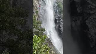 Ellenborough Falls NSW you must visit 🥹🥹🥹 waterfalls travel travelnsw [upl. by Dahs]