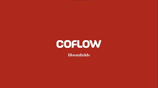 COFLOW  The First Serviced Offices in Egypt at Bloomfields  New Cairo [upl. by Merceer]