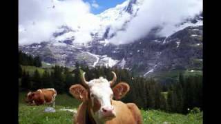 Berner Oberland Anthem Vogellisi [upl. by Irat]