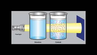 Lec 2  COLLOIDS Introduction شرح بالعربي [upl. by Truelove]