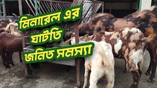 ছাগলের মিনারেল ব্লক  Goat Mineral Block [upl. by Orodoet809]