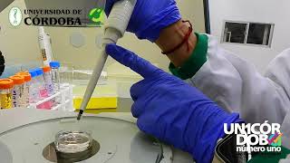 Laboratorio de Biotecnología de Reproducción Animal LABRA  Universidad de Córdoba [upl. by Evangelina]