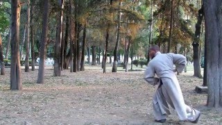 Choy Lee Fut Kung Fu 1ra Secuencia de postura [upl. by Leigha215]