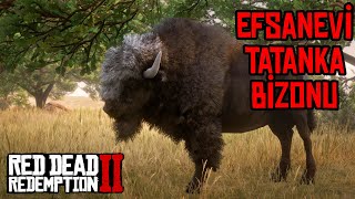 EFSANEVİ TATANKA BİZONU  LEGENDARY TATANKA BISON  RED DEAD REDEMPTION 2 [upl. by Blen]