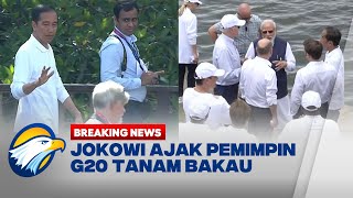 Jokowi Ajak Pemimpin G20 Tanam Bakau Menteri LHK Sejalan Misi Cegah Perubahan Iklim [upl. by Stacie142]