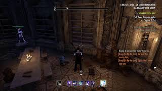 ESO Sorc PVP [upl. by Zehcnas]