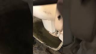 IMG 2621 1977 johnson 99hp outboard short vid clip [upl. by Zoie]