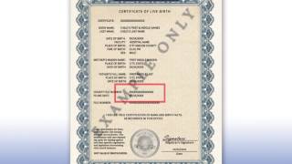 What Type Of Birth Certificate Is Needed For A Passport [upl. by Aiyotal458]